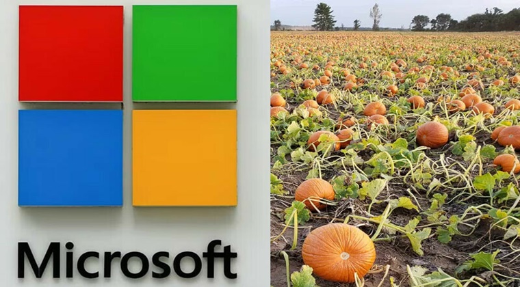 Microsoft විසින් ඩොලර් මිලියන 76කට විස්කොන්සින් වට්ටක්කා ගොවිපලක් මිලදී ගනියි